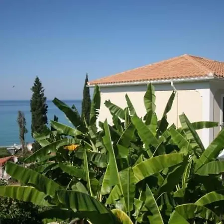 Miloni Daire *